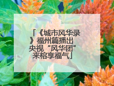 《城市风华录》福州篇播出 央视“风华团”来榕享福气