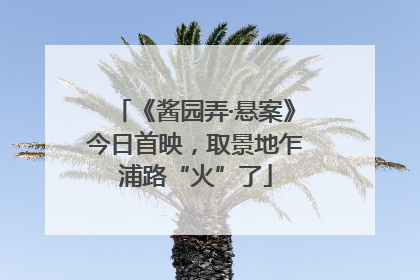 《酱园弄·悬案》今日首映，取景地乍浦路“火”了