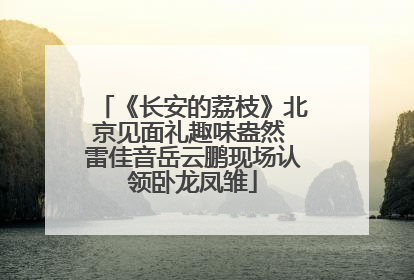 《长安的荔枝》北京见面礼趣味盎然 雷佳音岳云鹏现场认领卧龙凤雏