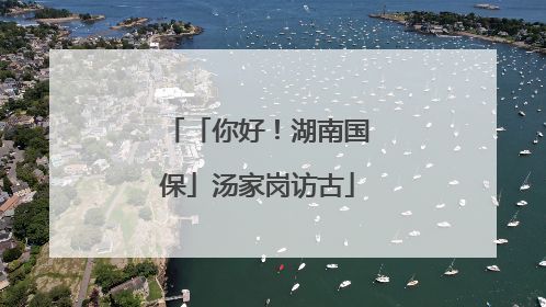 「你好！湖南国保」汤家岗访古