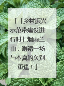 「乡村振兴示范带建设进行时」烟雨兰山：邂逅一场与本真的久别重逢！