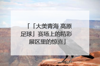 「大美青海 高原足球」赛场上的精彩 展区里的惊喜