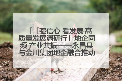 「强信心 看发展·高质量发展调研行」地企同频 产业共振——永昌县与金川集团地企融合推动重大项目建设
