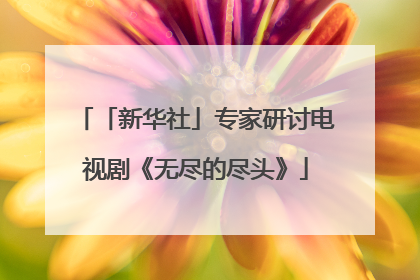 「新华社」专家研讨电视剧《无尽的尽头》