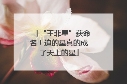 “王菲星”获命名！追的星真的成了天上的星