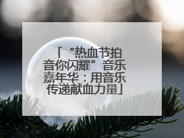 “热血节拍 音你闪耀”音乐嘉年华：用音乐传递献血力量