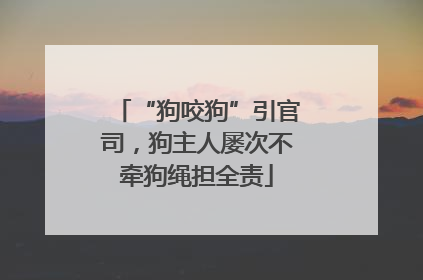 “狗咬狗”引官司，狗主人屡次不牵狗绳担全责