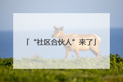 “社区合伙人”来了