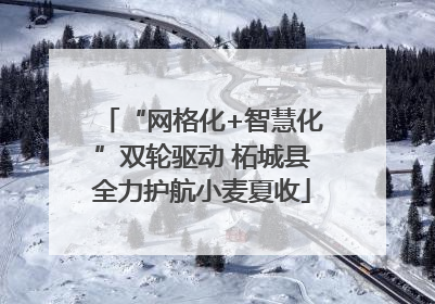 “网格化+智慧化”双轮驱动 柘城县全力护航小麦夏收