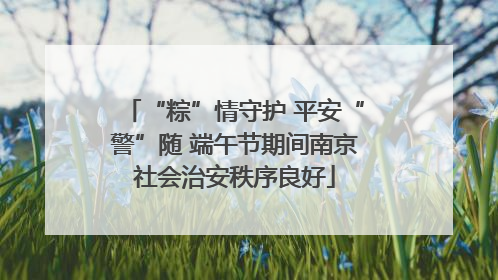 “粽”情守护 平安“警”随 端午节期间南京社会治安秩序良好