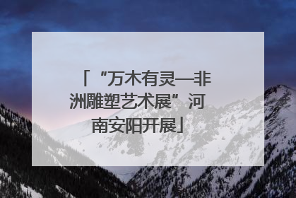 “万木有灵—非洲雕塑艺术展”河南安阳开展