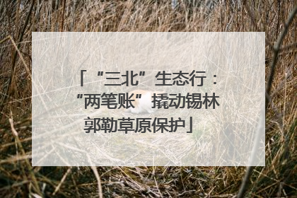 “三北”生态行：“两笔账”撬动锡林郭勒草原保护