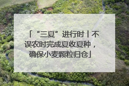 “三夏”进行时丨不误农时完成夏收夏种，确保小麦颗粒归仓