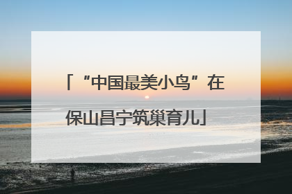 “中国最美小鸟”在保山昌宁筑巢育儿