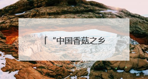 “中国香菇之乡”湖北随州“致富伞”远销海外