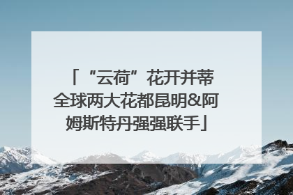 “云荷”花开并蒂 全球两大花都昆明&阿姆斯特丹强强联手