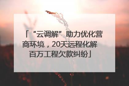 “云调解”助力优化营商环境，20天远程化解百万工程欠款纠纷