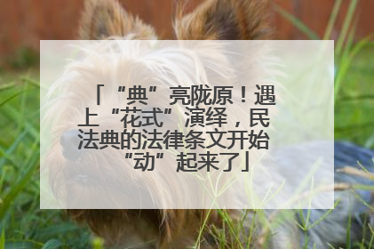 “典”亮陇原！遇上“花式”演绎，民法典的法律条文开始“动”起来了
