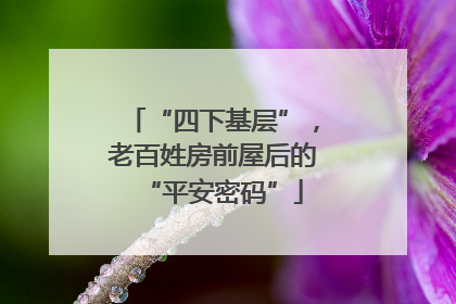 “四下基层”，老百姓房前屋后的“平安密码”