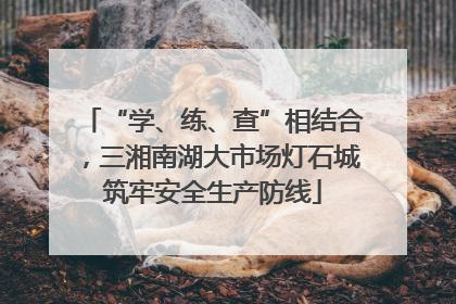 “学、练、查”相结合，三湘南湖大市场灯石城筑牢安全生产防线
