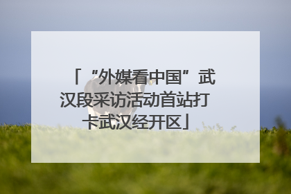 “外媒看中国”武汉段采访活动首站打卡武汉经开区