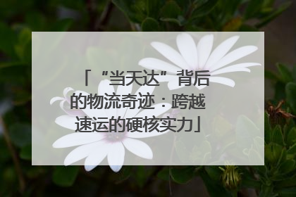 “当天达”背后的物流奇迹：跨越速运的硬核实力