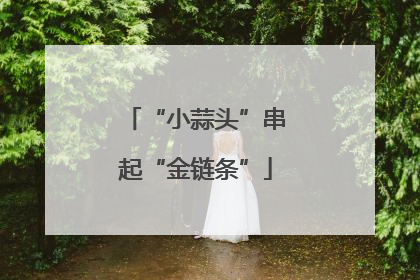 “小蒜头”串起“金链条”