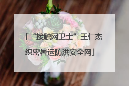 “接触网卫士”王仁杰织密暑运防洪安全网