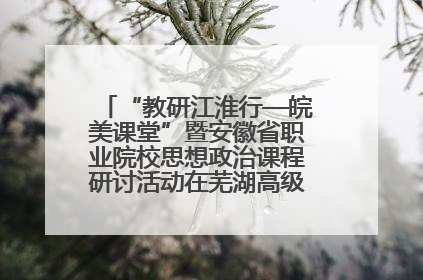 “教研江淮行—皖美课堂”暨安徽省职业院校思想政治课程研讨活动在芜湖高级职业技术学校举行