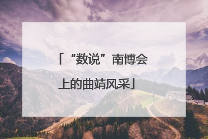 “数说”南博会上的曲靖风采