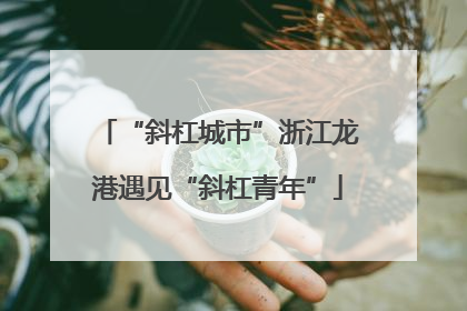 “斜杠城市”浙江龙港遇见“斜杠青年”