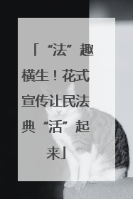 “法”趣横生！花式宣传让民法典“活”起来