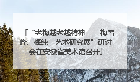 “老梅越老越精神——梅雪峰、梅纯一艺术研究展”研讨会在安徽省美术馆召开