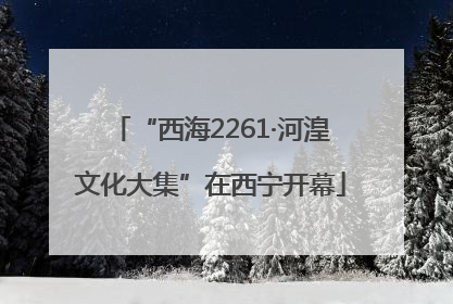 “西海2261·河湟文化大集”在西宁开幕
