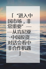 “进入中国市场，非常重要”——从肯尼亚-中国投资对话会看中非合作机遇