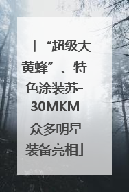“超级大黄蜂”、特色涂装苏-30MKM 众多明星装备亮相
