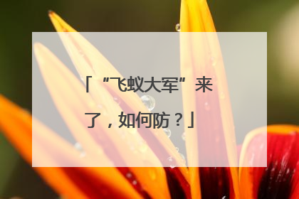 “飞蚁大军”来了，如何防？