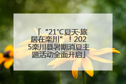 “21℃夏天·旅居在栾川”！2025栾川县暑期消夏主题活动全面开启