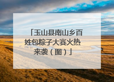 玉山县南山乡百姓包粽子大赛火热来袭（图）