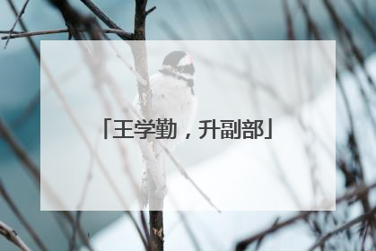 王学勤，升副部