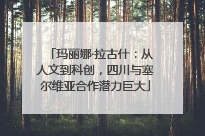 玛丽娜·拉古什：从人文到科创，四川与塞尔维亚合作潜力巨大