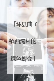 环县曲子镇西沟村的绿色蝶变