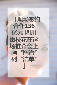 现场签约合作136亿元 四川攀枝花在这场推介会上画“图谱”列“清单”