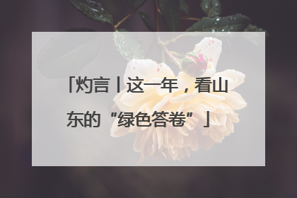 灼言丨这一年，看山东的“绿色答卷”