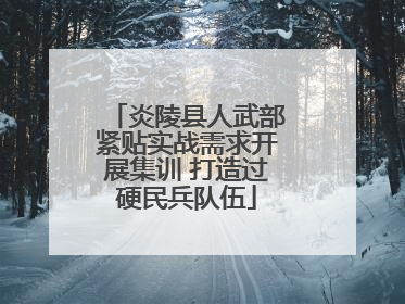 炎陵县人武部紧贴实战需求开展集训 打造过硬民兵队伍