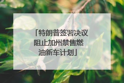 特朗普签署决议 阻止加州禁售燃油新车计划