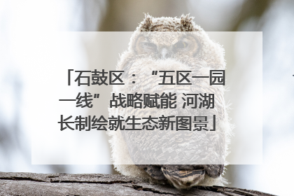 石鼓区：“五区一园一线”战略赋能 河湖长制绘就生态新图景