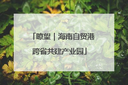 瞭望｜海南自贸港跨省共建产业园