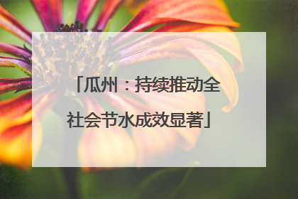 瓜州：持续推动全社会节水成效显著