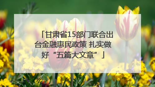 甘肃省15部门联合出台金融惠民政策 扎实做好“五篇大文章”